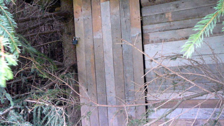 Изображение 119682