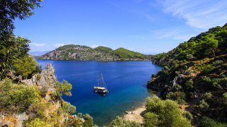 Според ново британско проучване на PA Media цитирано от The