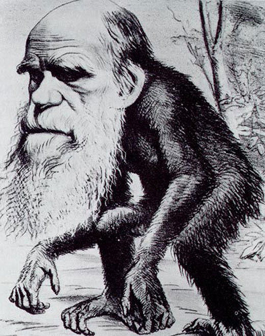 Дарвин откраднал теорията на еволюцията