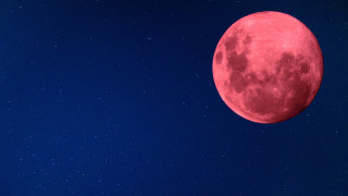 Днес е Розова луна