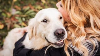 Миналата седмица излезе изследване от което разбрахме че кучетата могат да