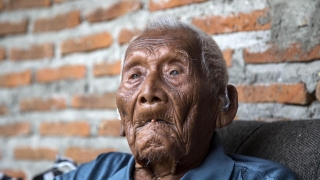 Най-старият човек в света отпразнува 146-ия си рожден ден