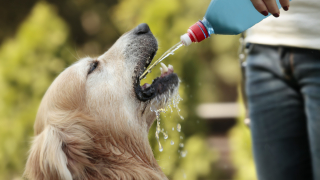 През деня ще бъде предимно слънчево След обяд ще се