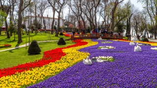 Над 20 милиона цветя - Фестивалът на лалелата в Истанбул е през април