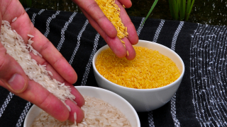 Китай се съгласи да разреши вноса на ориз от САЩ