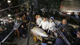Голяма риба тон беше продадена за 323 400 долара на