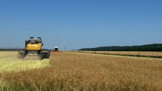 Добивите от жътвата в Югоизточна България са под обичайните нива