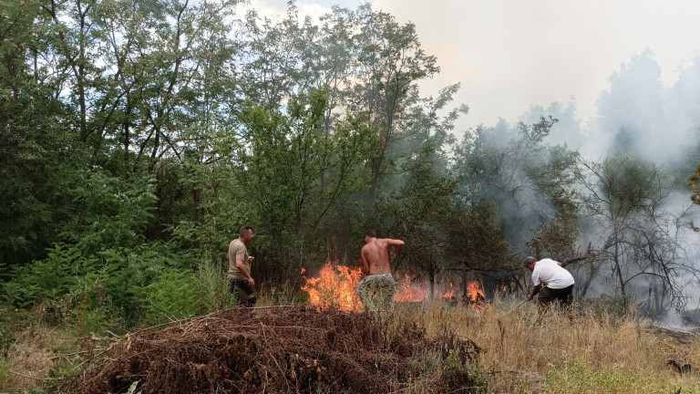 Пожарът между свиленградските села Левка и Мустрак е овладян. Огънят
