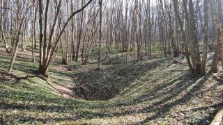 Разград посрещна над 250 състезатели за 61 то издание на надпреварата