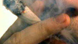 Марихуаната - 5 пъти по-вредна за белите дробове от тютюна