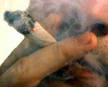 Марихуаната - 5 пъти по-вредна за белите дробове от тютюна