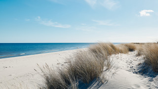 В повечето случаи си мислим че у нас положението като