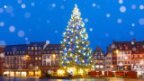 6 от най-емблематичните коледни дървета по света