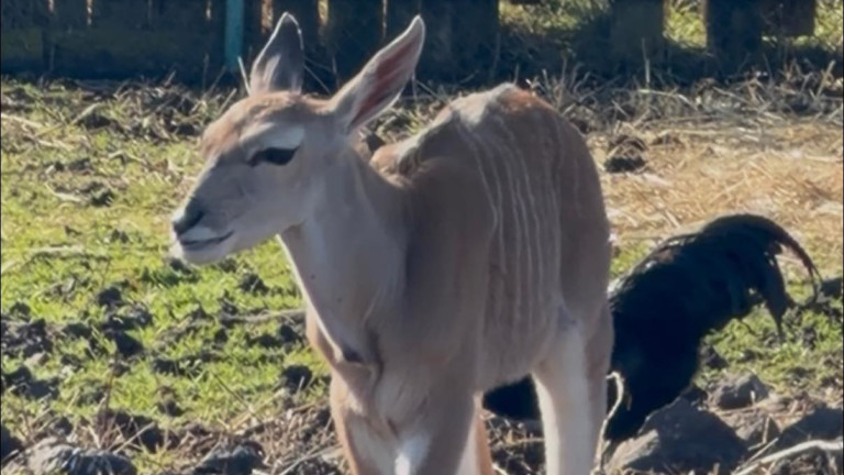 Изображение 754683