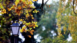 Днес ще бъде предимно слънчево но по късно след обяд облачността