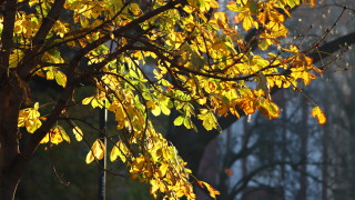 Днес ще бъде предимно слънчево с разкъсана висока облачност Това