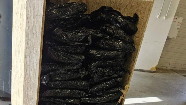 Изображение 747183