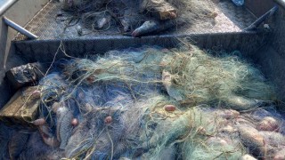 Откриха бракониерски мрежи във водоемите в Бургаска област