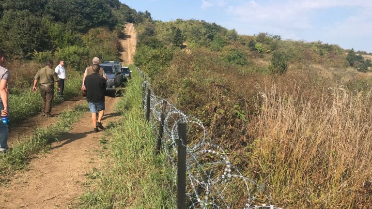 Изображение 377483