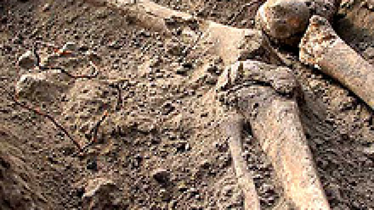 Изображение 7483