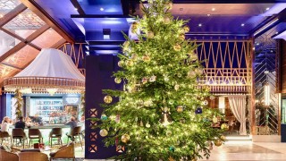 Най-скъпата елха в света струва $15 милиона