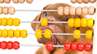 От Демократична България започнаха разговор с парламентарно представените партии в