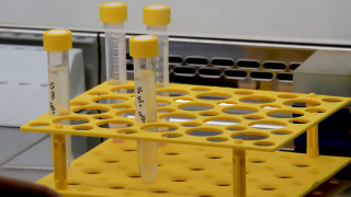 51 новозаразени и петима починали от коронавирус за денонощие 