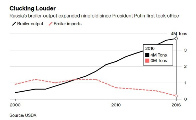 Производството на бройлери в Русия е нараснало 9 пъти, откак Путин е на власт