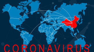 Китай забрани търговията и консумацията на диви животни заради коронавируса