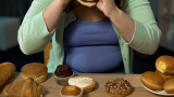 Монделея Безуиденхаут, Нова Зеландия и отмяната на забраната да остане в страната, заради наднорменото ѝ тегло