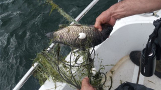 ИАРА извади 200 м мрежи от язовир Жребчево