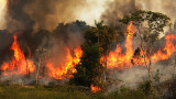 Амазония в пламъци – политическите реакции също са в червената зона