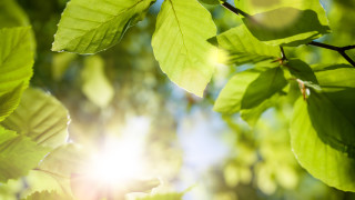 Днес времето ще бъде предимно слънчево с увеличена купеста облачност