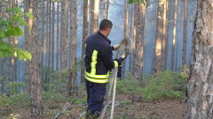 Пожар бушува в борова гора в Пирин