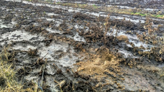 В Пещера искат обявяване на бедствено положение