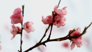 Днес облачността ще е променлива често намаляваща до предимно слънчево