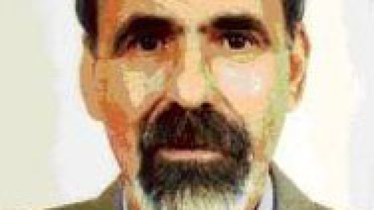 Изображение 43084