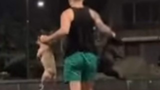 Полицията в Стара Загора разследва сигнал за насилие на животни