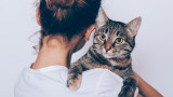 Котките, хората и могат ли да се привързват към нас