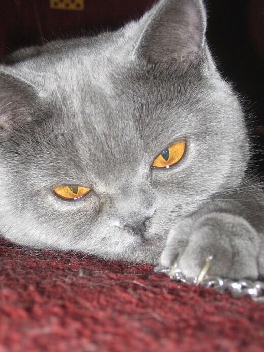 5 женски навика, които си признавам