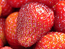 350 берачки на ягоди за Испания набира Агенцията по заетостта