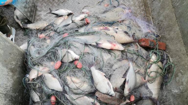 ИАРА откри 1100 метра бракониерски мрежи в язовир край Бургас