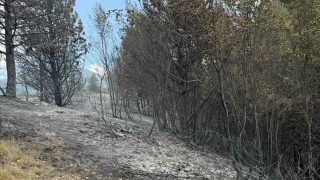 Продължават усилията за овладяване на съобщава БНР Все още има активно