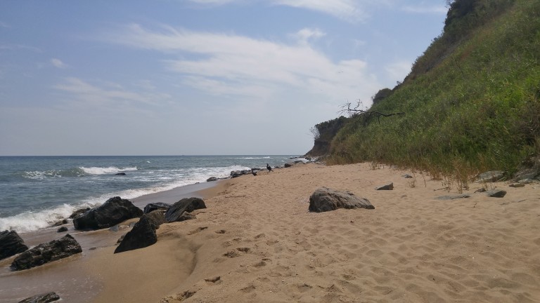 Изображение 525484