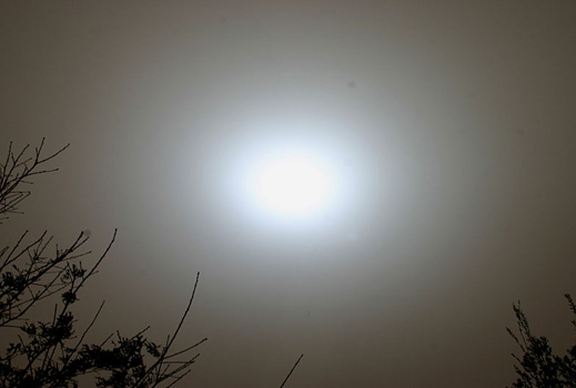 Революционна технология превръща светлината директно в електричество