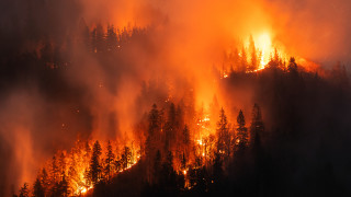 Загасени са огнищата които се разгоряха отново вчера в труднодостъпните