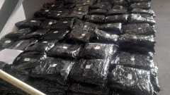 ГДБОП задържа 700 кг марихуана на МП "Лесово"