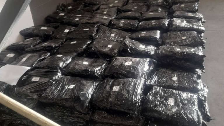 Изображение 747184