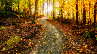 Днес облачността ще е променлива по значителна главно над планинските райони