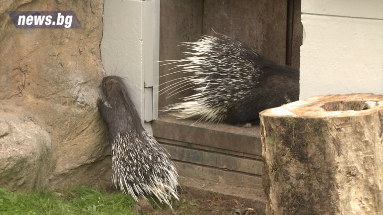 Изображение 357384